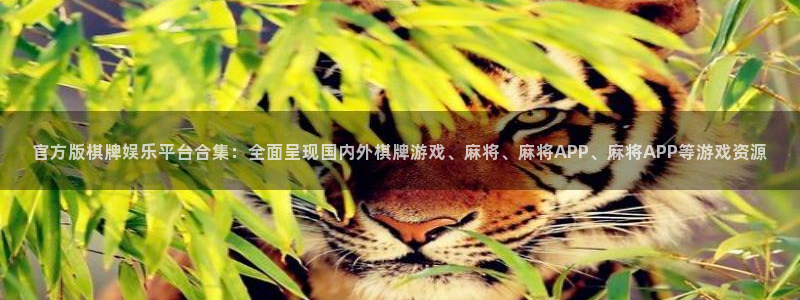 蓝图娱乐在线注册：官方版棋牌娱乐平台合集：全面呈现国内外棋牌游戏、麻将、麻将APP、麻将APP等游戏资源