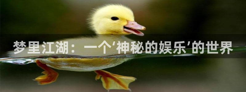 森林游戏建筑蓝图：梦里江湖：一个‘神秘的娱乐’的世界